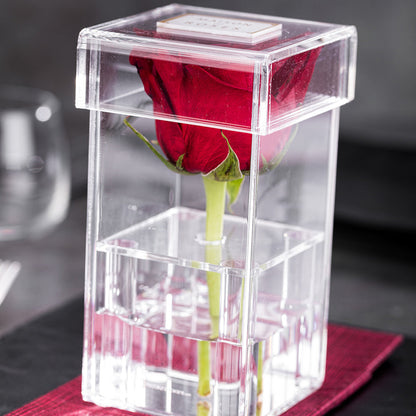 Clear Tek Clear Acrylic Tall Flower Box Vase - 1 hole, with Lid - 3 1/4" x 3 1/4" x 6" - 1 count box