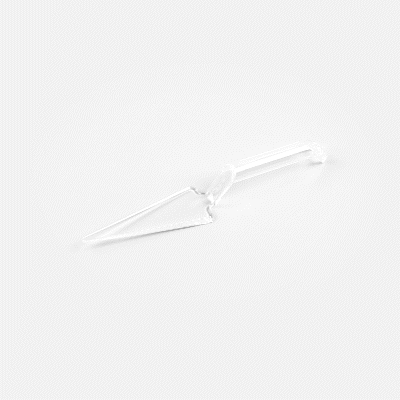Cater Tek Clear Plastic Cake Server - Recyclable - 10" x 2" x 1" - 100 count box