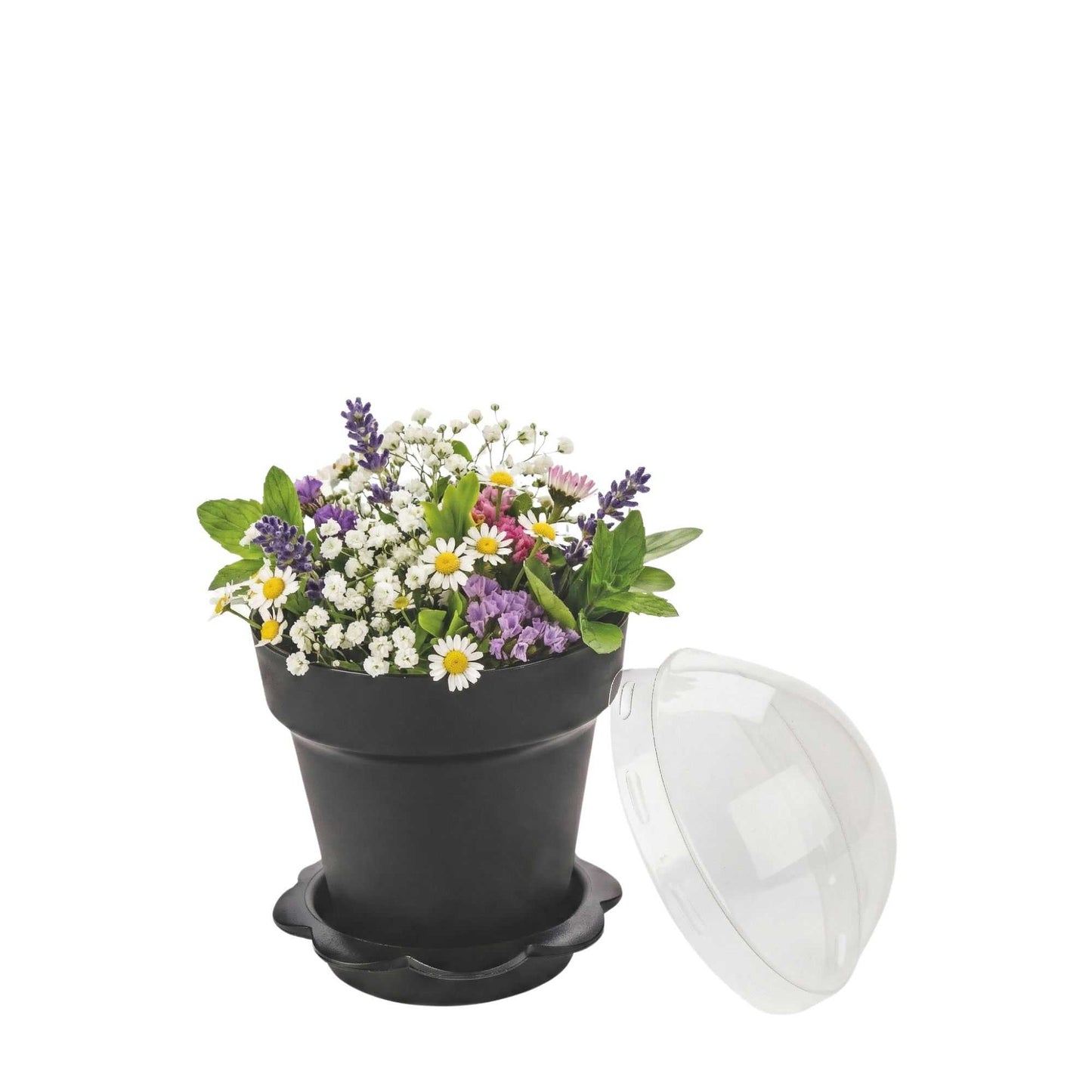 Mini Serve 6 oz Black Plastic Mini Flower Pot Cup - with Lid - 3" x 3" x 3" - 100 count box
