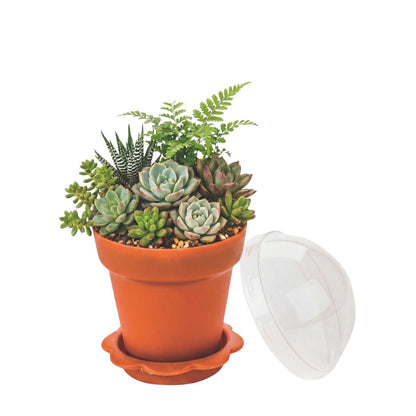 Mini Serve 6 oz Terracotta Plastic Mini Flower Pot Cup - with Lid - 3" x 3" x 3" - 100 count box