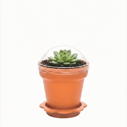 Mini Serve 6 oz Terracotta Plastic Mini Flower Pot Cup - with Lid - 3" x 3" x 3" - 100 count box