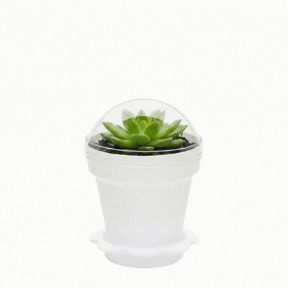 Mini Serve 6 oz White Plastic Mini Flower Pot Cup - with Lid - 3" x 3" x 3" - 100 count box