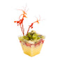 Mini Serve 2 oz Square Clear Plastic Mini Apogee Kova Cup - 2" x 2" x 1 3/4" - 100 count box