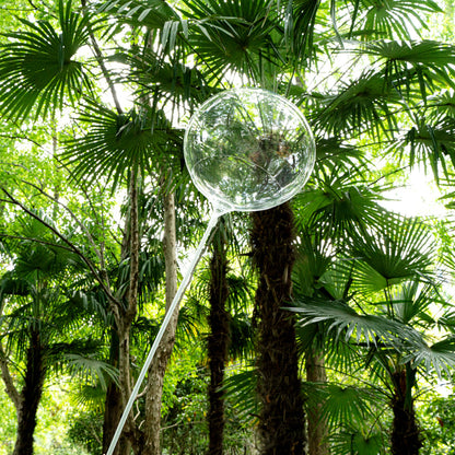 Balloonify Clear Bobo Balloon - 20" - 10 count box