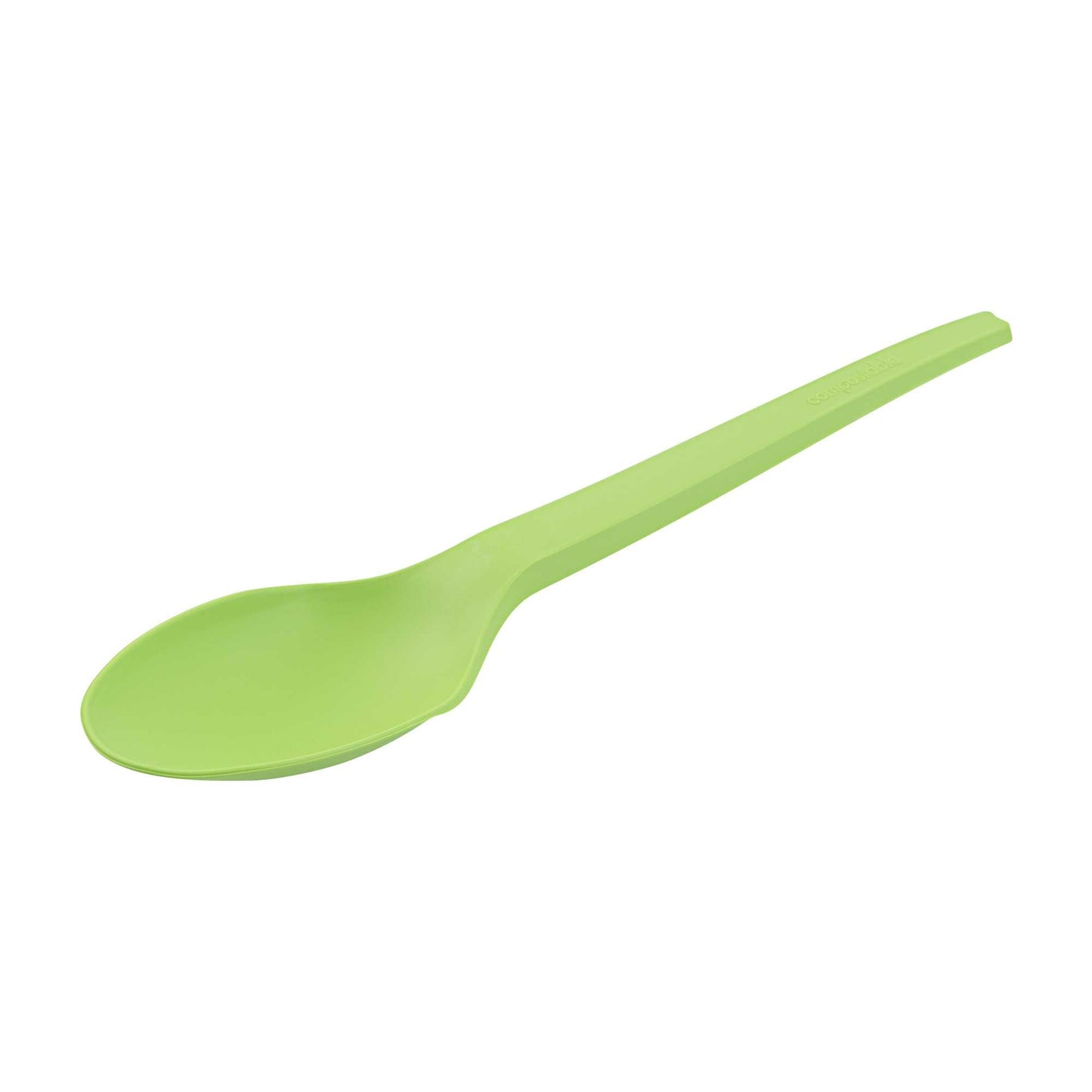 Basic Nature Green CPLA Plastic Spoon - Compostable Wrapper, Heat-Resistant - 6 1/2" - 250 count box