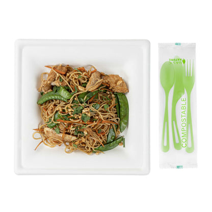 Basic Nature Green CPLA Plastic Cutlery Set - Compostable Wrapper, Heat-Resistant - 7 1/2" - 100 count box