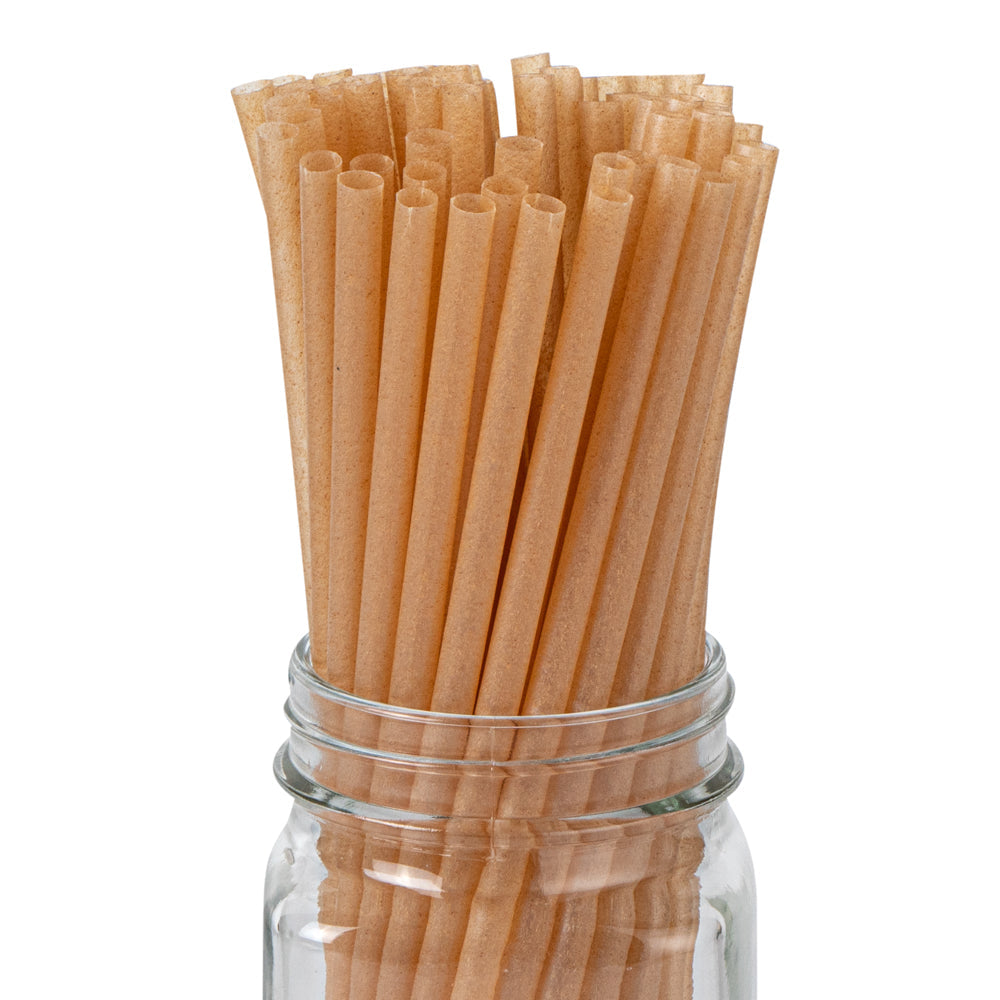 Basic Nature Brown PLA Plastic / Sugarcane Straw - Compostable - 8 1/4" - 100 count box