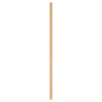 Basic Nature Brown PLA Plastic / Sugarcane Straw - Compostable - 8 1/4" - 100 count box