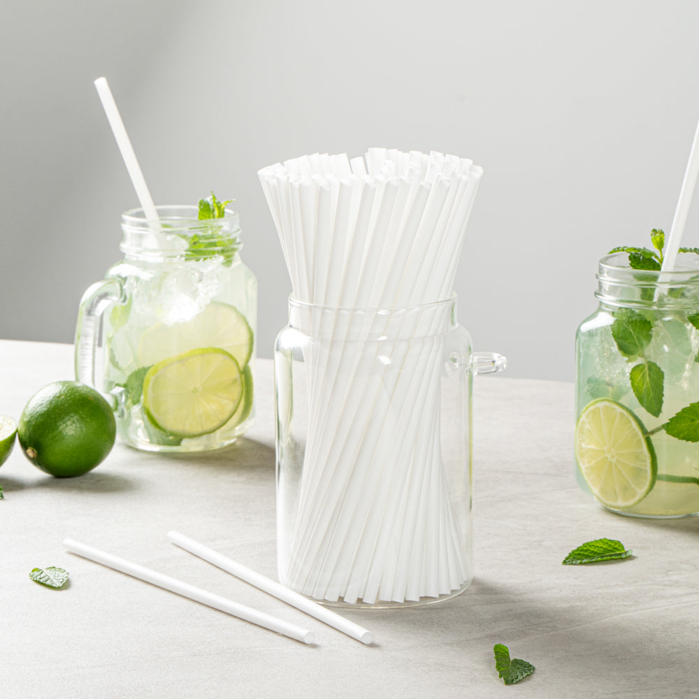Basic Nature White PLA / PBAT Plastic Straw - Compostable - 8 1/4" - 100 count box