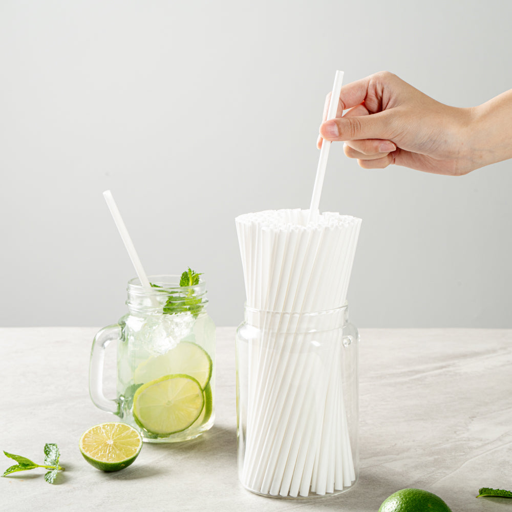 Basic Nature White PLA / PBAT Plastic Straw - Compostable - 8 1/4" - 100 count box