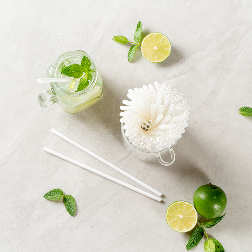 Basic Nature White PLA / PBAT Plastic Straw - Compostable - 8 1/4" - 100 count box