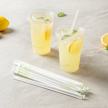 Basic Nature White PLA / PBAT Plastic Straw - Wrapped, Compostable - 8 1/4" - 2000 count box