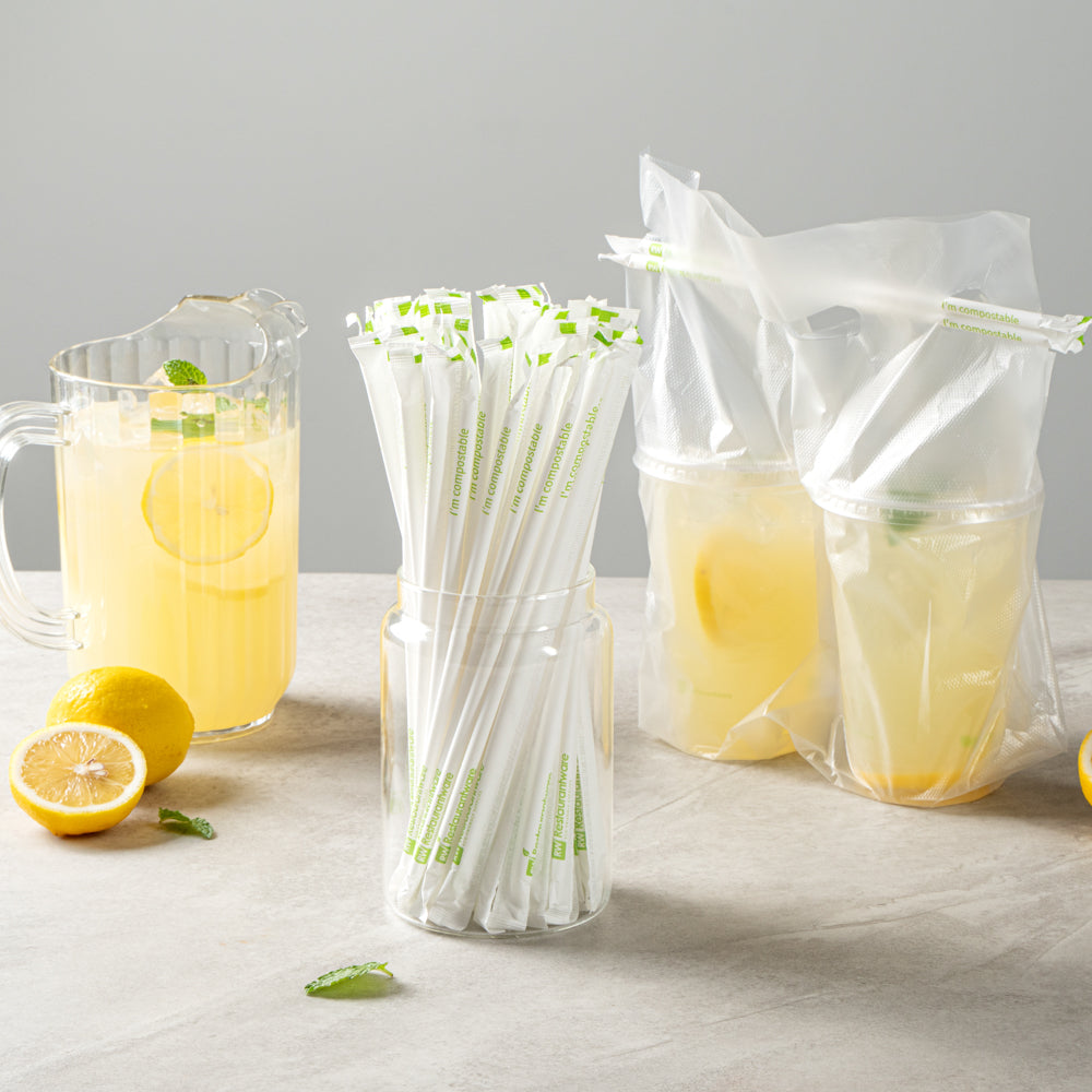 Basic Nature White PLA / PBAT Plastic Straw - Wrapped, Compostable - 8 1/4" - 2000 count box