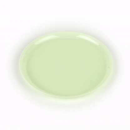 Moderna Round Mint Green Plastic Plate - 8 1/2" x 8 1/2" x 1/2" - 200 count box