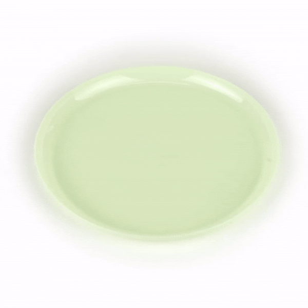 Moderna Round Mint Green Plastic Plate - 10 3/4" x 10 3/4" x 1/2" - 40 count box