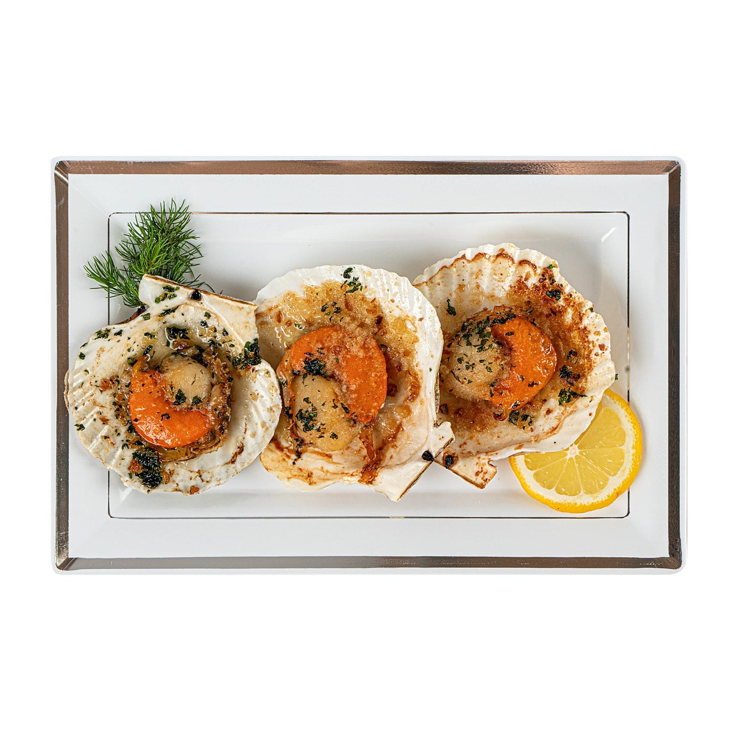 Moderna Rectangle White Plastic Silver-Rimmed Plate - 9 1/2" x 6 1/4" x 1/2" - 10 count box
