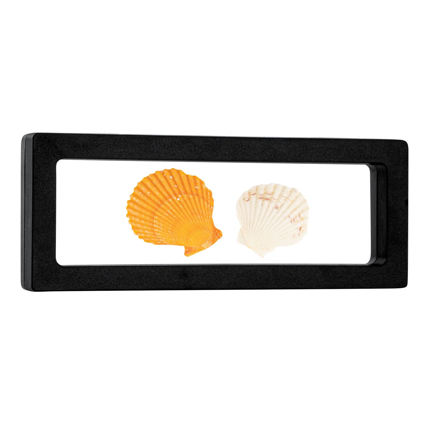 Display Tek Rectangle Black Plastic 3D Floating Display Case - 7" x 2 3/4" x 3/4" - 10 count box