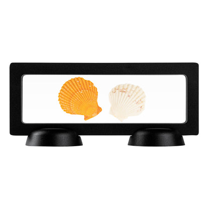 Display Tek Rectangle Black Plastic 3D Floating Display Case - 7" x 2 3/4" x 3/4" - 10 count box
