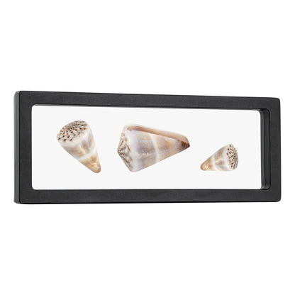 Display Tek Rectangle Black Plastic 3D Floating Display Case - 9" x 3 1/2" x 3/4" - 10 count box