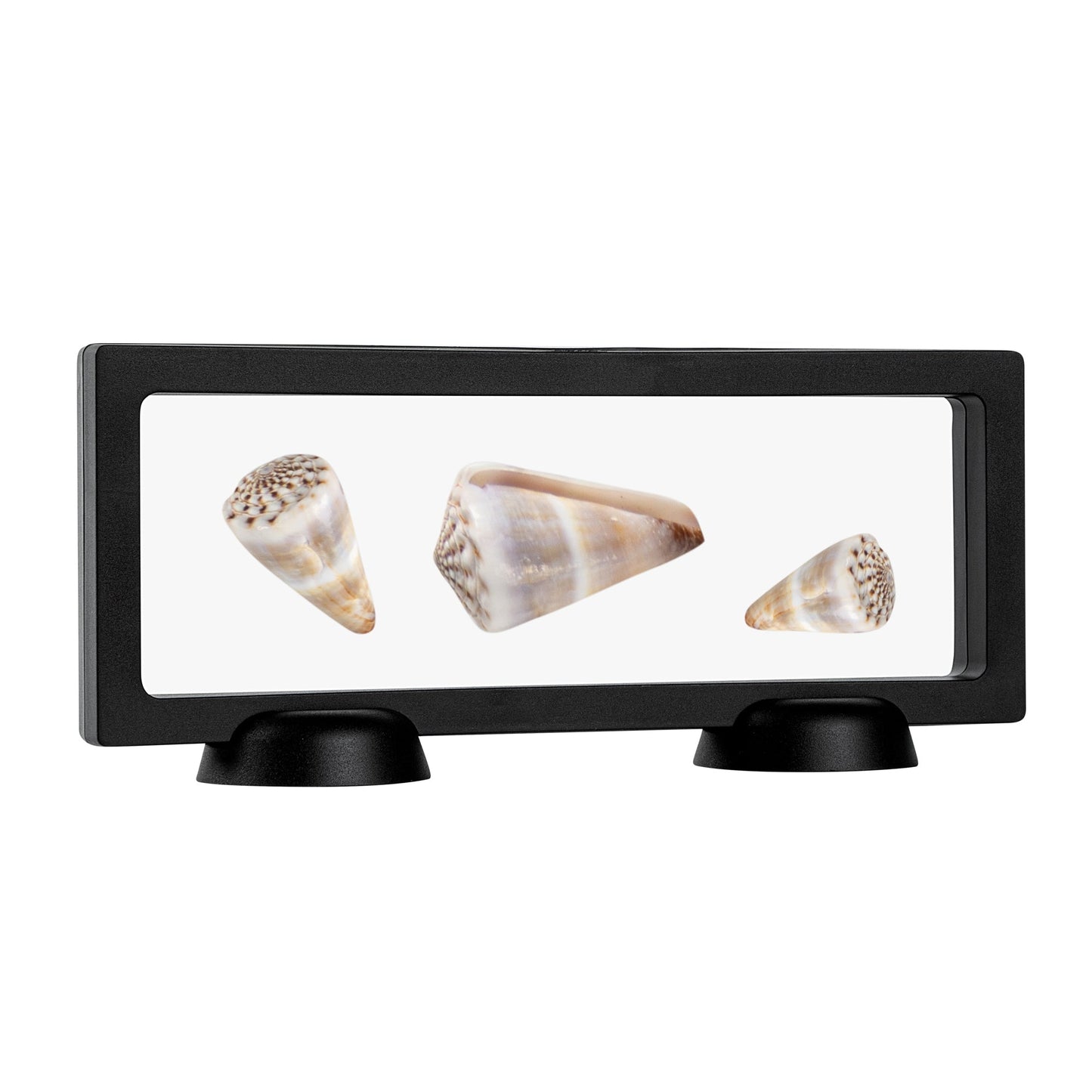 Display Tek Rectangle Black Plastic 3D Floating Display Case - 9" x 3 1/2" x 3/4" - 10 count box