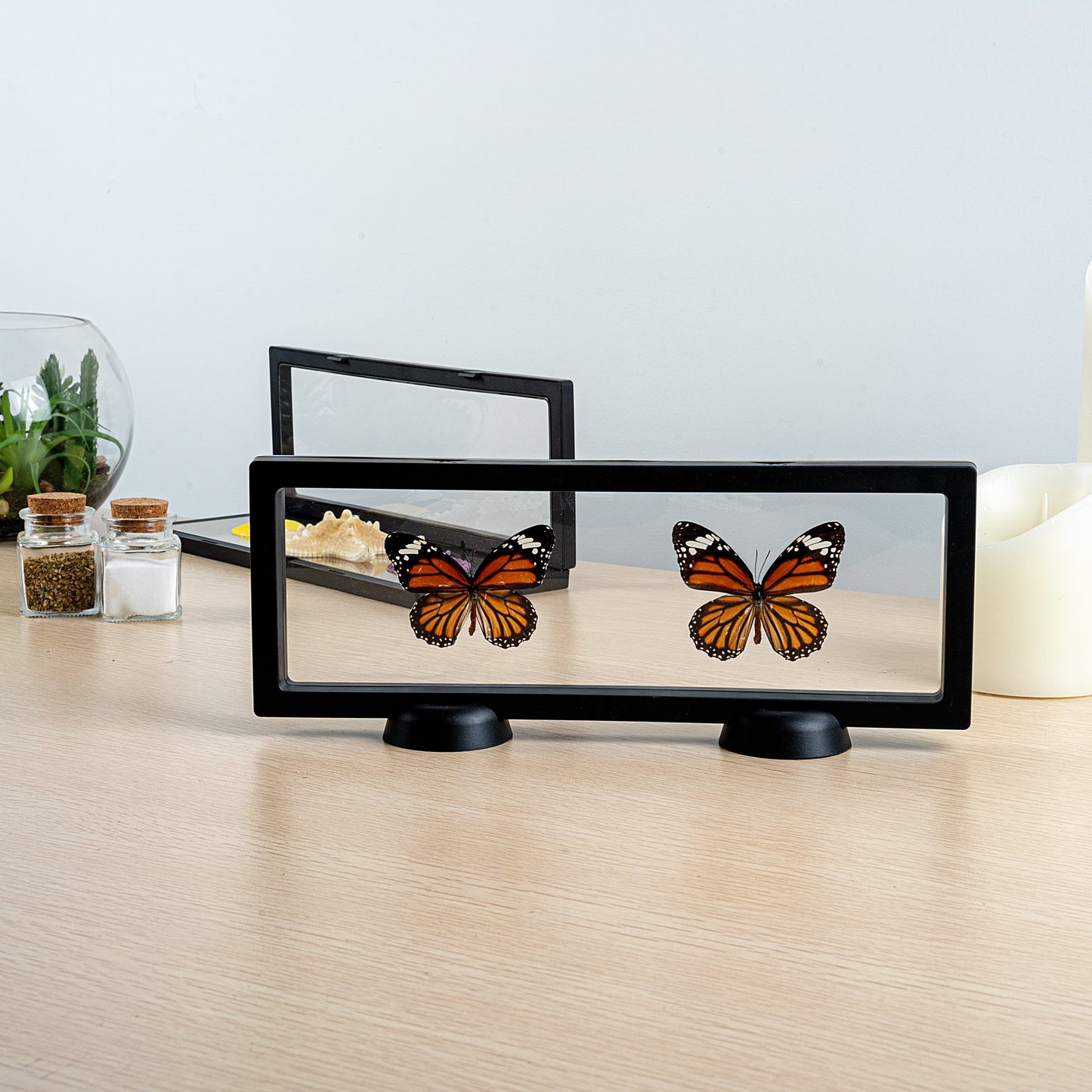 Display Tek Rectangle Black Plastic 3D Floating Display Case - 11 3/4" x 4 1/4" x 3/4" - 10 count box