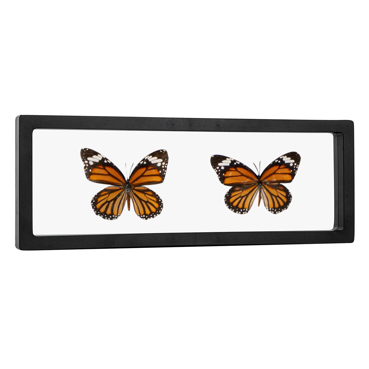 Display Tek Rectangle Black Plastic 3D Floating Display Case - 11 3/4" x 4 1/4" x 3/4" - 10 count box
