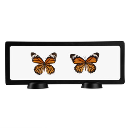 Display Tek Rectangle Black Plastic 3D Floating Display Case - 11 3/4" x 4 1/4" x 3/4" - 10 count box