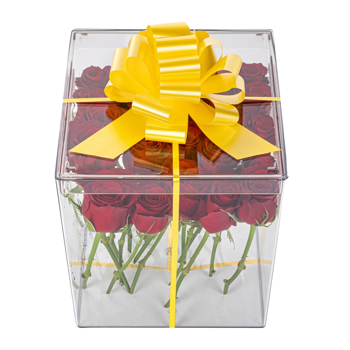 Gift Tek Yellow Plastic Flora Satin Pull Bow - 5 1/2" - 10 count box
