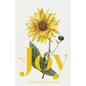 Intro to Joy - Paperback