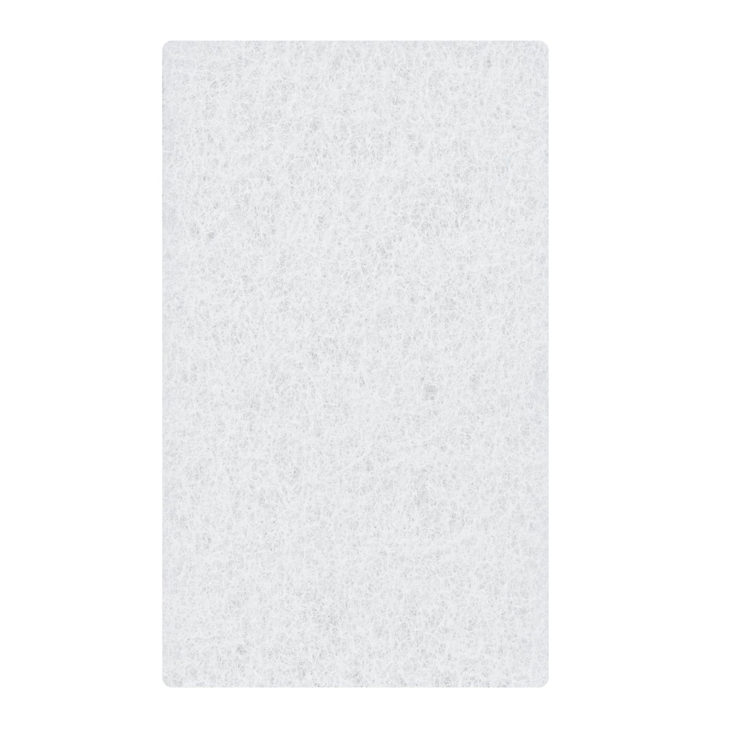 RW Clean White Scouring Pad - Multi-Purpose, Light Duty - 6" x 3 1/2" x 1" - 10 count box