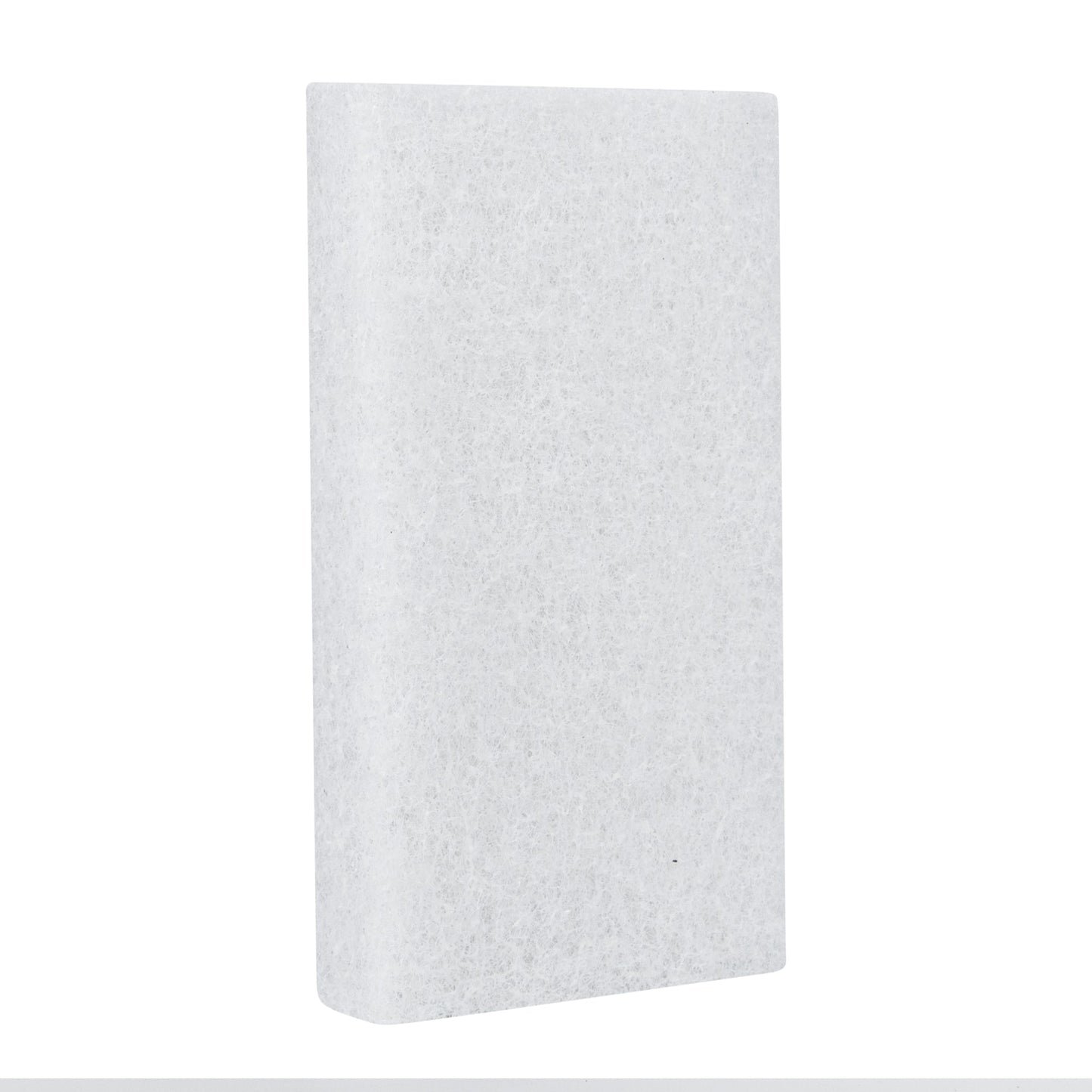 RW Clean White Scouring Pad - Multi-Purpose, Light Duty - 6" x 3 1/2" x 1" - 10 count box
