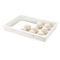 Pizzaly White Plastic Pizza Dough Proofing Box - 26" x 18" x 3" - 1 count box