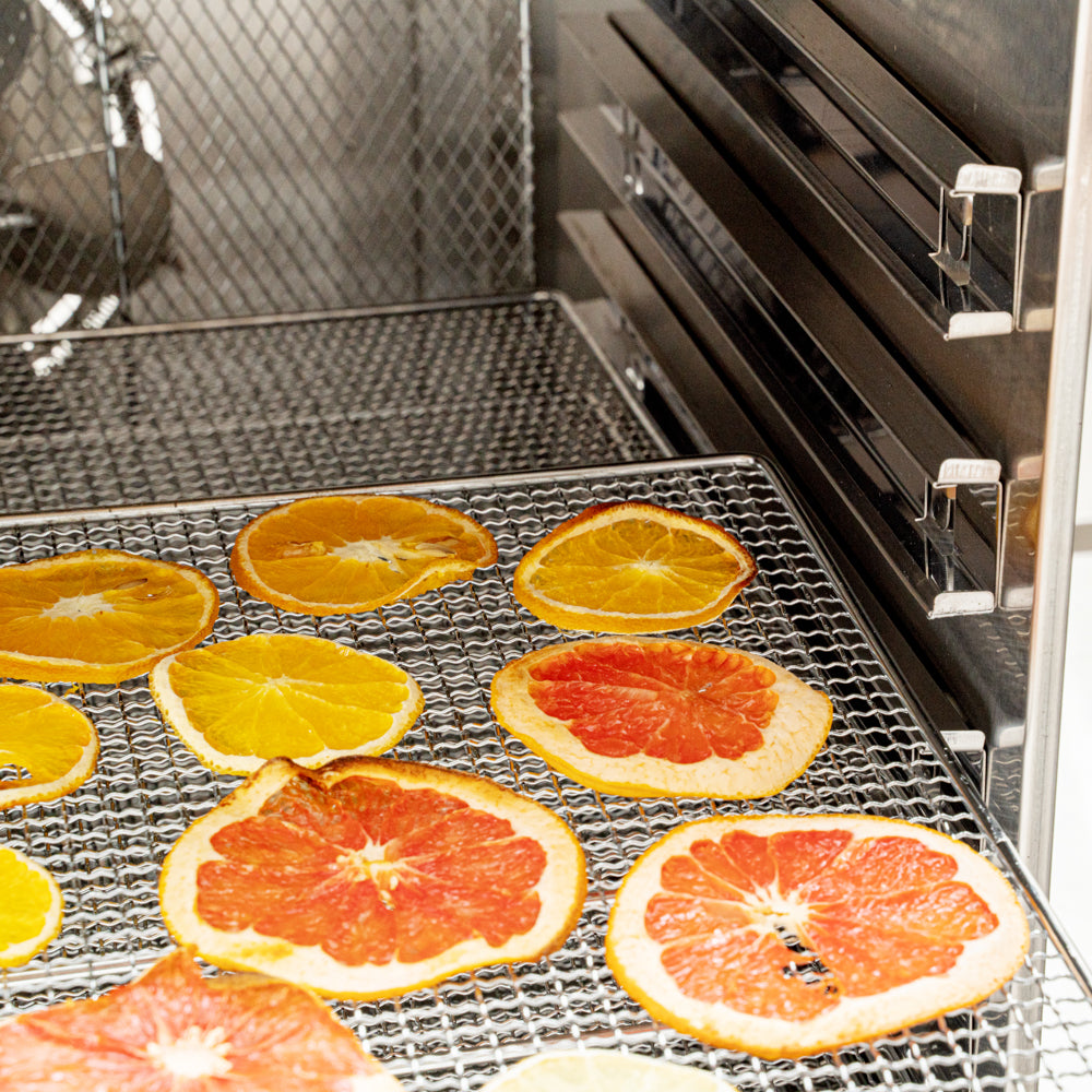 Hi Tek Stainless Steel 10-Tray Food Dehydrator - Removable Door, 120V, 1000W - 1 count box
