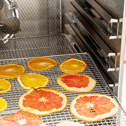 Hi Tek Stainless Steel 10-Tray Food Dehydrator - Removable Door, 120V, 1000W - 1 count box