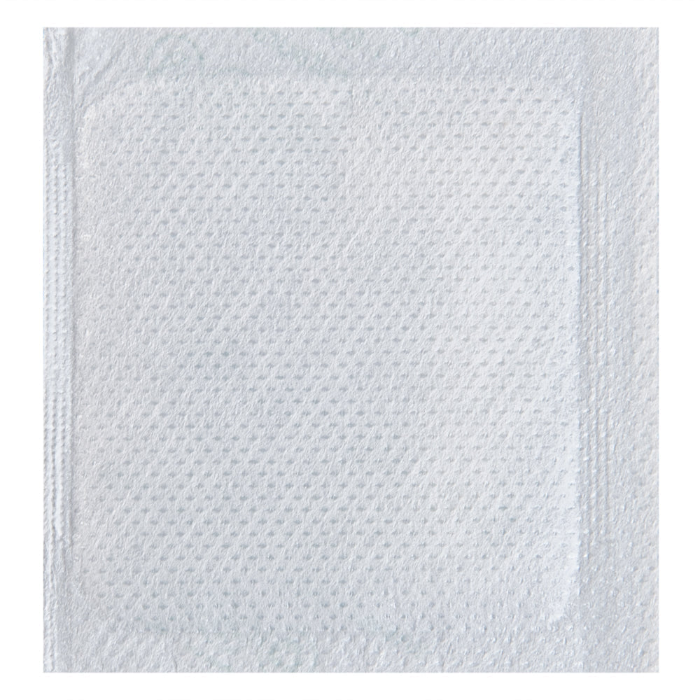 Delivery Tek Plastic Shipping Ice Pack - 2 3/4" x 2 1/2" - 100 count box