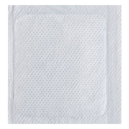 Delivery Tek Plastic Shipping Ice Pack - 2 3/4" x 2 1/2" - 100 count box