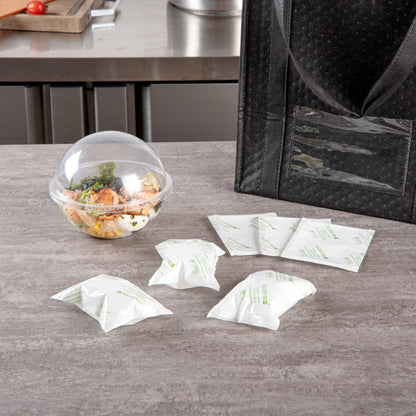 Delivery Tek Plastic Shipping Ice Pack - 5" x 3 3/4" - 100 count box