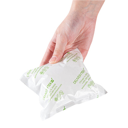 Delivery Tek Plastic Shipping Ice Pack - 5" x 4 1/2" - 100 count box