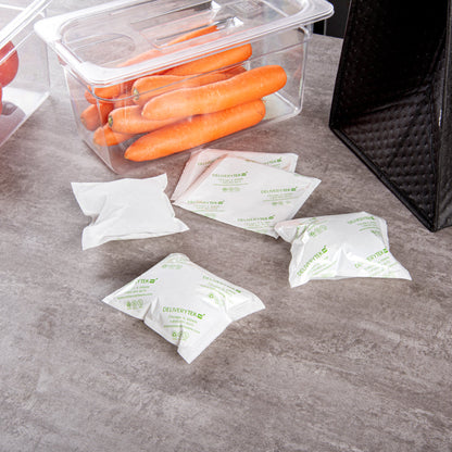 Delivery Tek Plastic Shipping Ice Pack - 5" x 4 1/2" - 100 count box