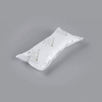 Delivery Tek Plastic Shipping Ice Pack - 7 3/4" x 3 3/4" - 100 count box