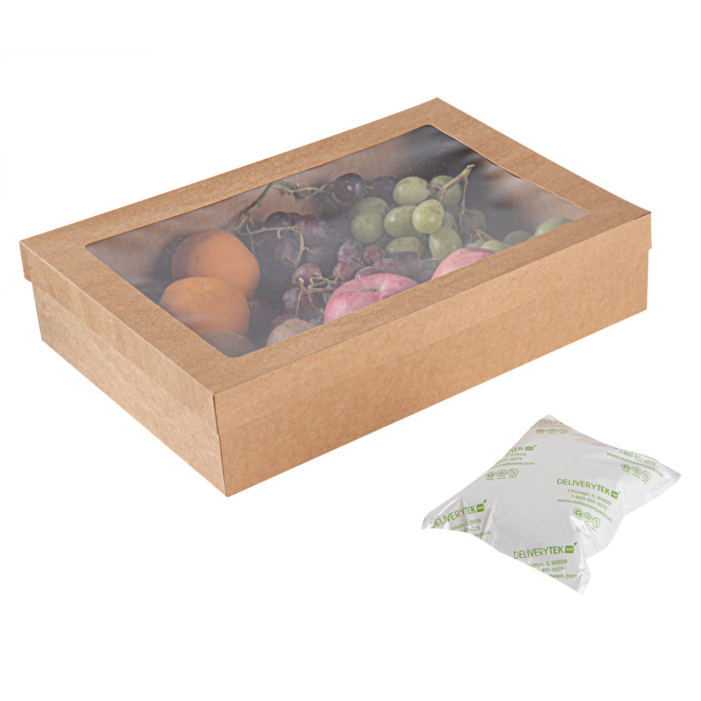 Delivery Tek Plastic Shipping Ice Pack - 6 1/4" x 5" - 100 count box