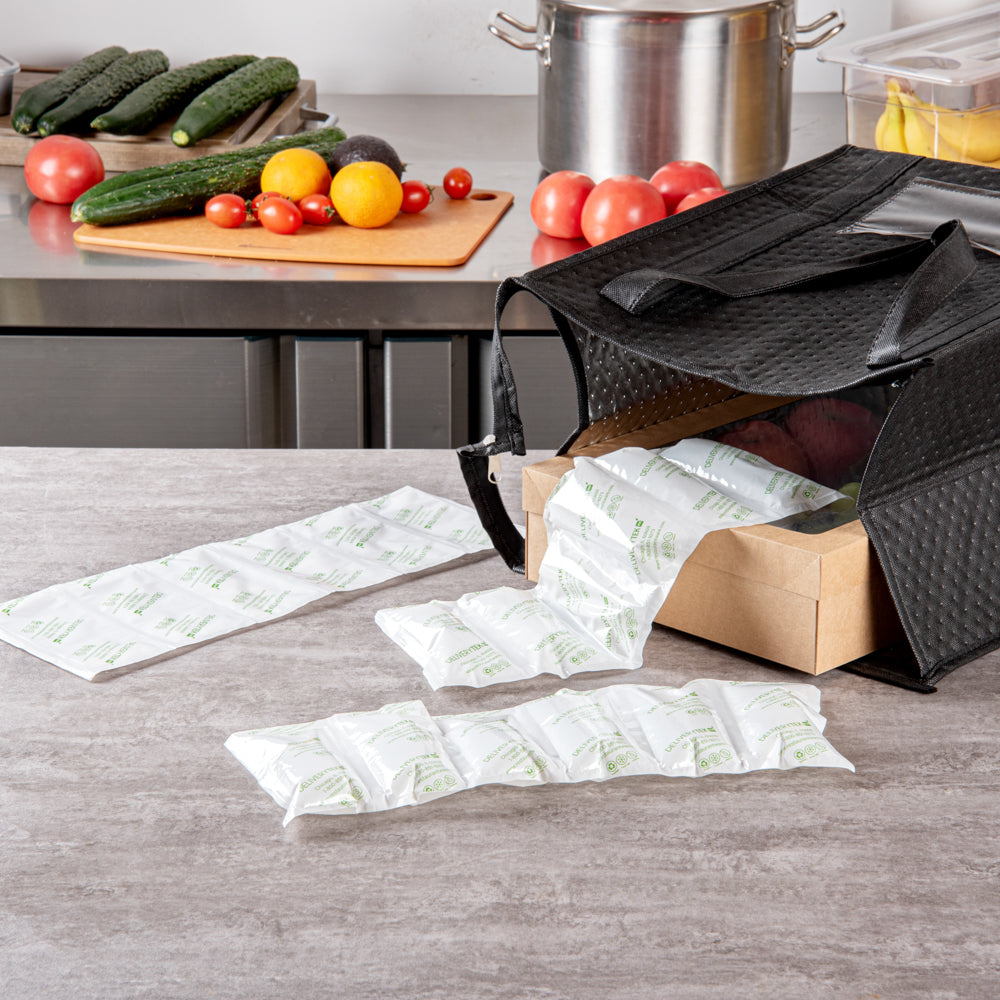 Delivery Tek Plastic Shipping Ice Pack - 1 x 6 Cells - 15 1/4" x 5 3/4" - 100 count box