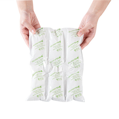 Delivery Tek Plastic Shipping Ice Pack - 3 x 2 Cells - 11 1/2" x 7 3/4" - 10 count box