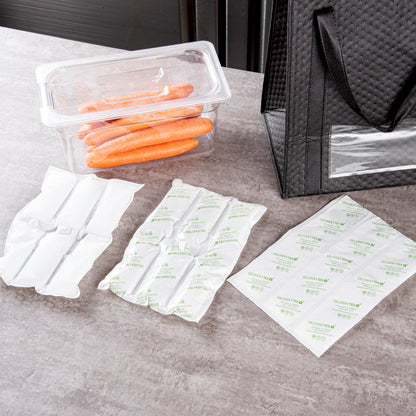 Delivery Tek Plastic Shipping Ice Pack - 3 x 2 Cells - 11 1/2" x 7 3/4" - 100 count box