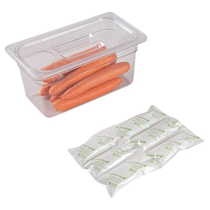 Delivery Tek Plastic Shipping Ice Pack - 3 x 2 Cells - 11 1/2" x 7 3/4" - 100 count box