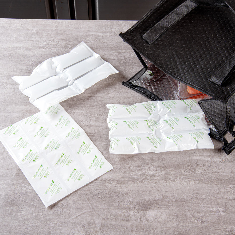 Delivery Tek Plastic Shipping Ice Pack - 3 x 2 Cells - 11 1/2" x 7 3/4" - 100 count box