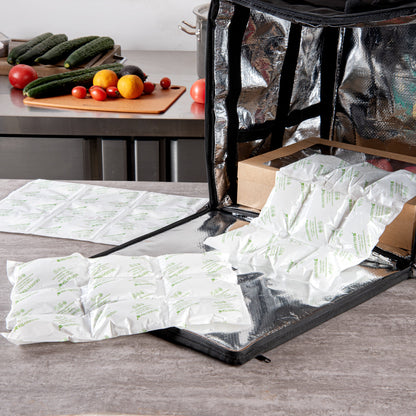 Delivery Tek Plastic Shipping Ice Pack - 3 x 3 Cells - 15 1/4" x 11 1/2" - 10 count box