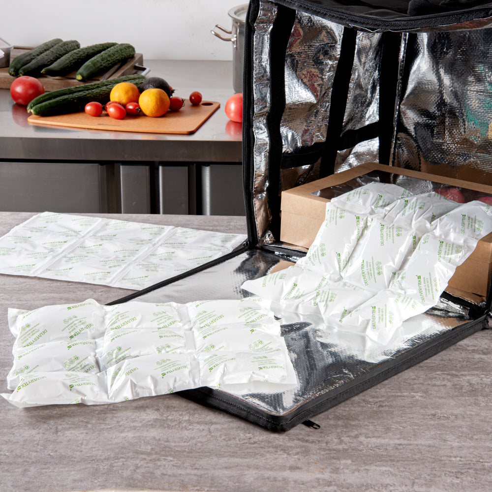 Delivery Tek Plastic Shipping Ice Pack - 3 x 3 Cells - 15 1/4" x 11 1/2" - 100 count box