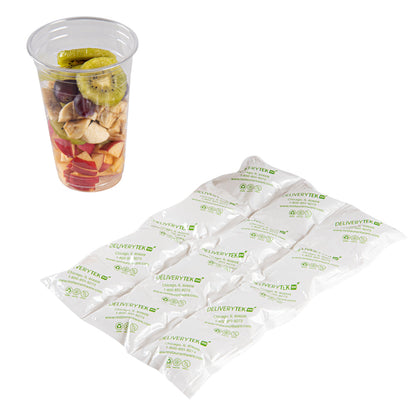 Delivery Tek Plastic Shipping Ice Pack - 3 x 4 Cells - 11 1/2" x 7 3/4" - 10 count box