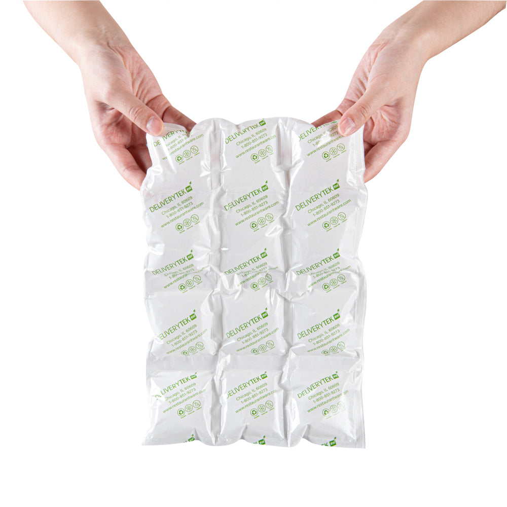 Delivery Tek Plastic Shipping Ice Pack - 3 x 4 Cells - 11 1/2" x 7 3/4" - 10 count box